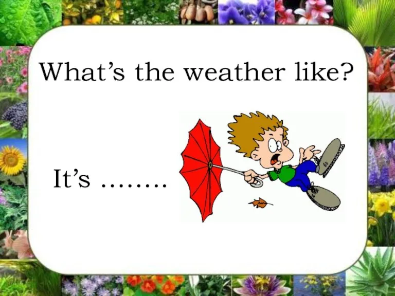 What’s the weather like? It’s ……..