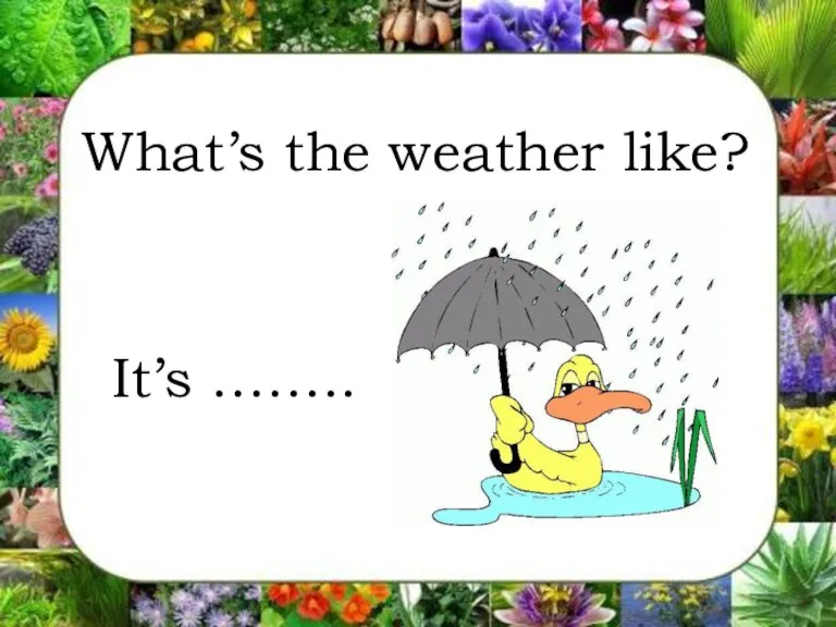 What’s the weather like? It’s ……..