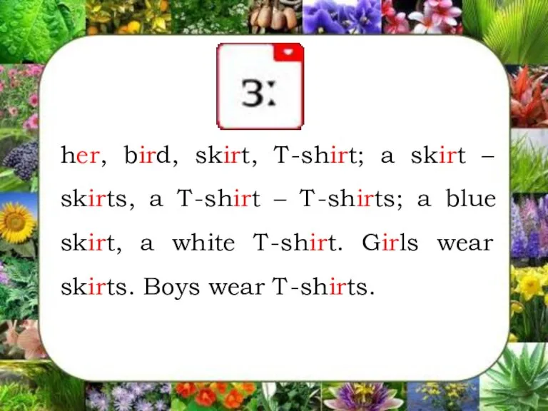 her, bird, skirt, T-shirt; a skirt – skirts, a T-shirt – T-shirts;