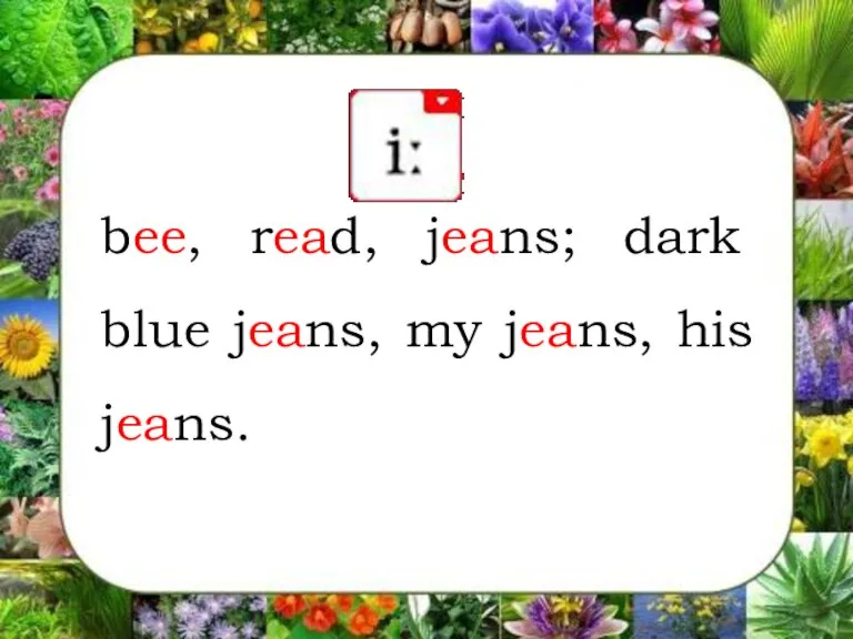 bee, read, jeans; dark blue jeans, my jeans, his jeans.