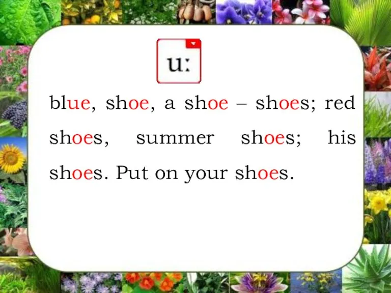 blue, shoe, a shoe – shoes; red shoes, summer shoes; his shoes. Put on your shoes.