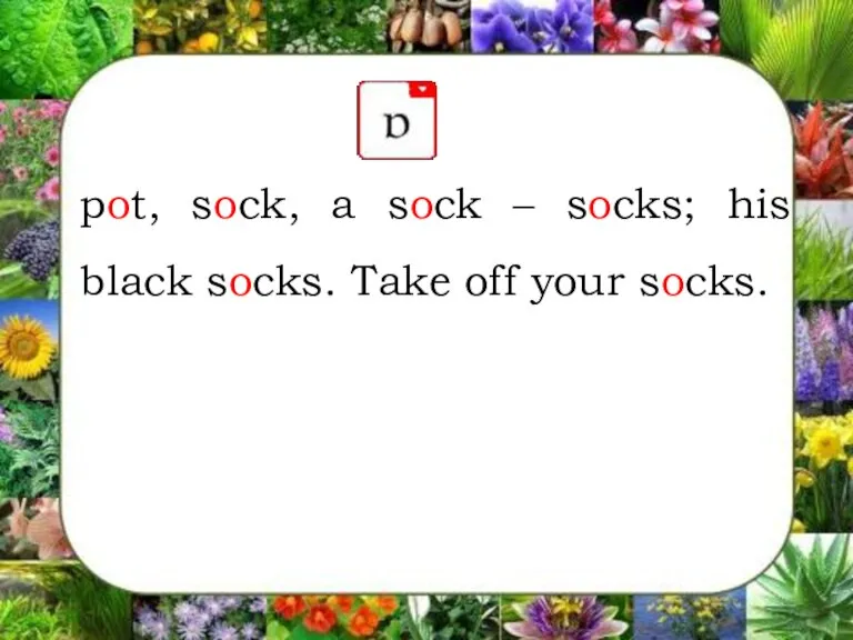 pot, sock, a sock – socks; his black socks. Take off your socks.