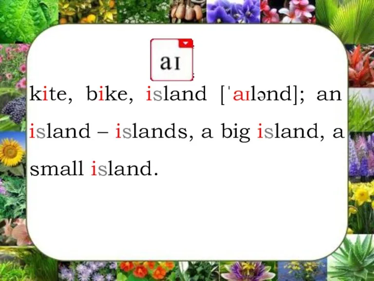 kite, bike, island [ˈaɪlənd]; an island – islands, a big island, a small island.