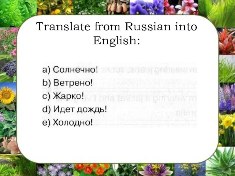 Translate from Russian into English: