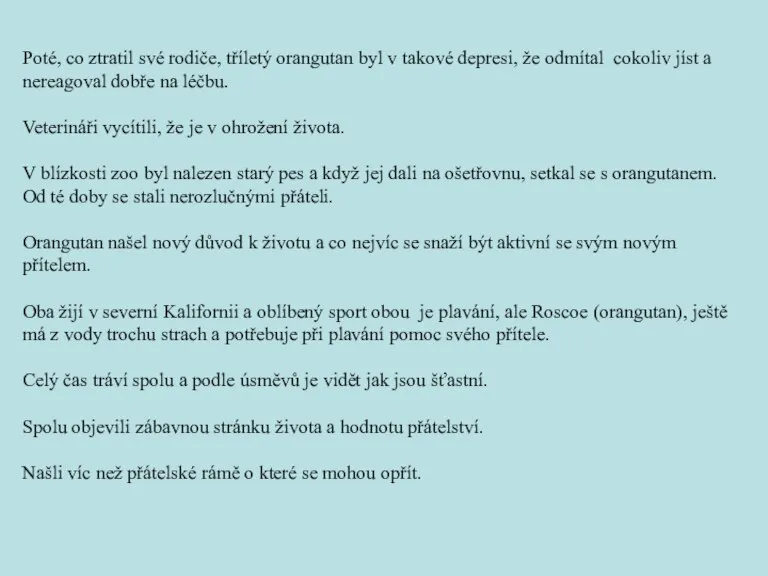 Poté, co ztratil své rodiče, tříletý orangutan byl v takové depresi, že