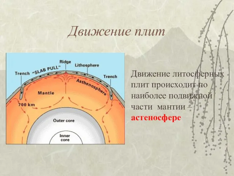 Движение плит Движение литосферных плит происходит по наиболее подвижной части мантии –астеносфере