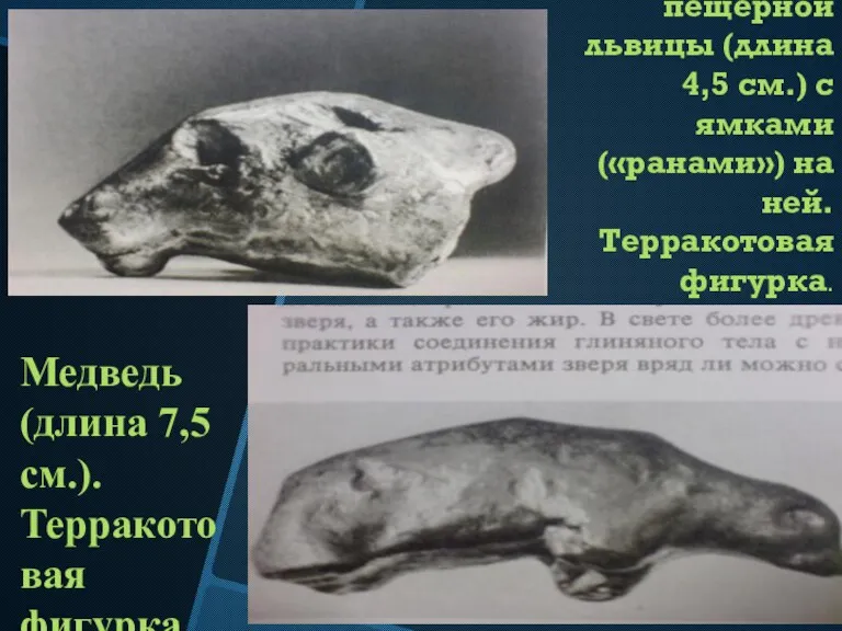 Голова пещерной львицы (длина 4,5 см.) с ямками («ранами») на ней. Терракотовая