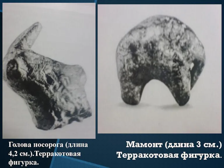 Мамонт (длина 3 см.) Терракотовая фигурка. Голова носорога (длина 4,2 см.).Терракотовая фигурка.