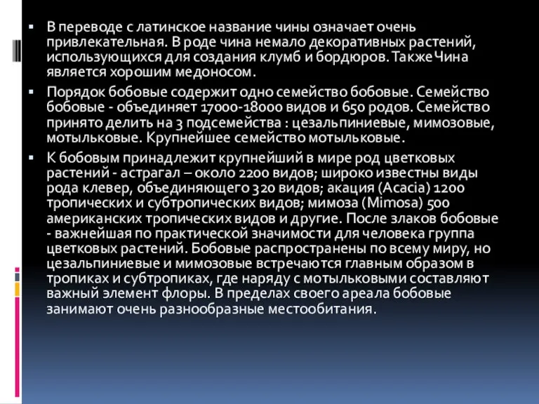 В переводе с латинское название чины означает очень привлекательная. В роде чина