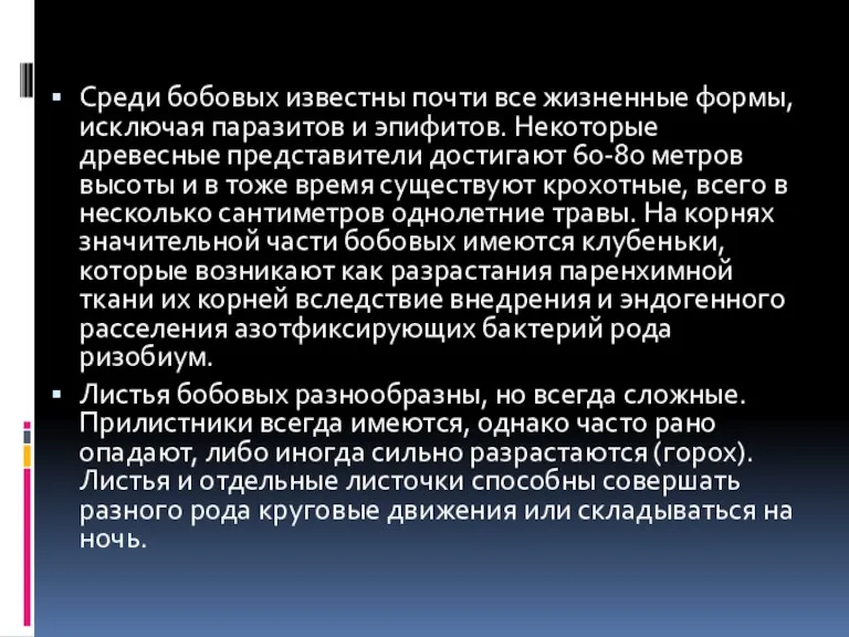 Среди бобовых известны почти все жизненные формы, исключая паразитов и эпифитов. Некоторые