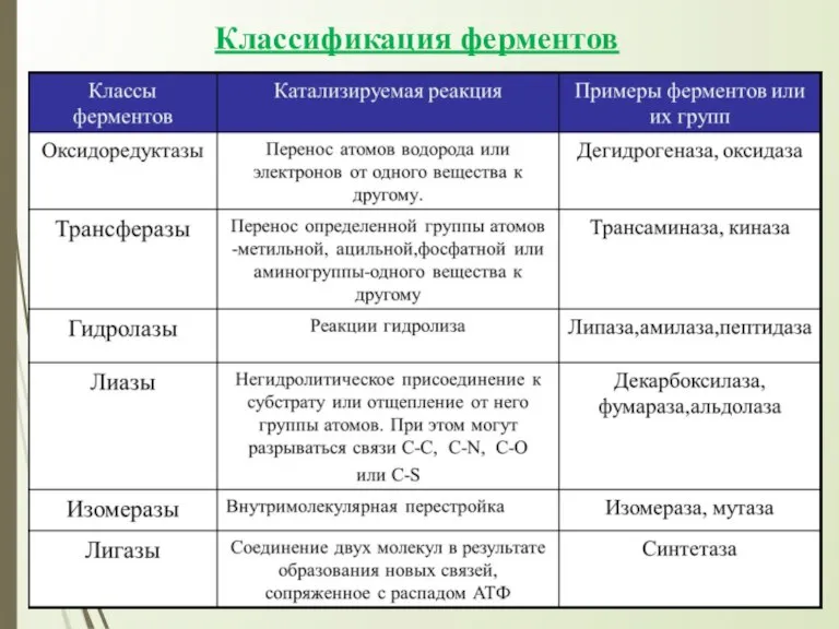 Классификация ферментов