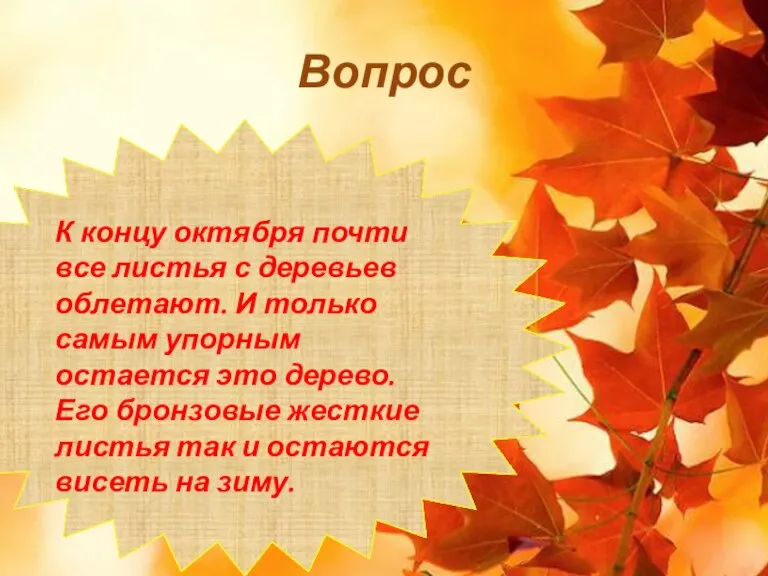 Вопрос К концу октября почти все листья с деревьев облетают. И только