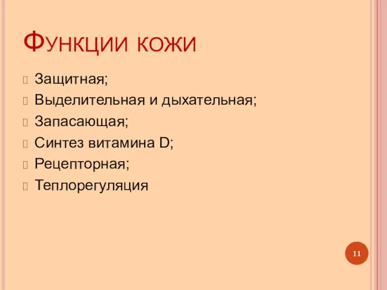 Функции кожи Защитная; Выделительная и дыхательная; Запасающая; Синтез витамина D; Рецепторная; Теплорегуляция