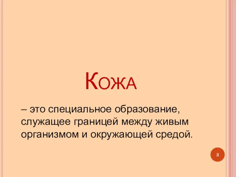 Кожа – это специальное образование, служащее границей между живым организмом и окружающей средой.