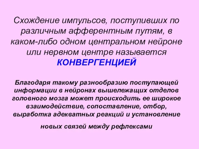 Схождение импульсов, поступивших по различным афферентным путям, в каком-либо одном центральном нейроне