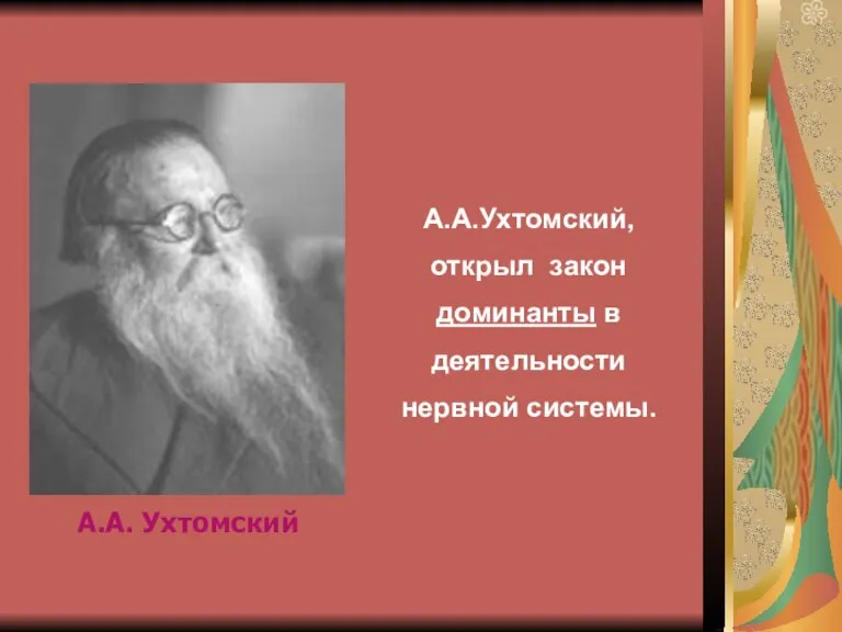 А.А. Ухтомский А.А.Ухтомский, открыл закон доминанты в деятельности нервной системы.
