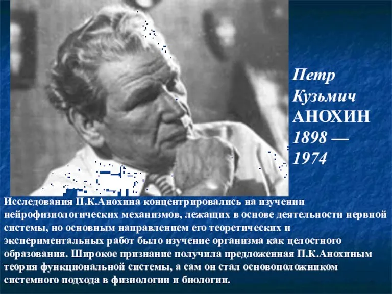 Петр Кузьмич АНОХИН 1898 — 1974 Исследования П.К.Анохина концентрировались на изучении нейрофизиологических