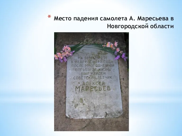 Место падения самолета А. Маресьева в Новгородской области