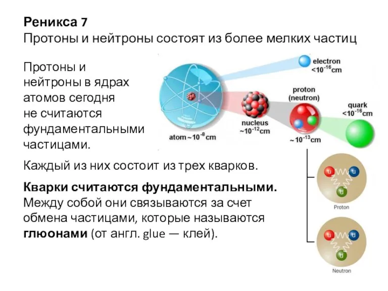 Реникса 7 Протоны и нейтроны состоят из более мелких частиц Протоны и