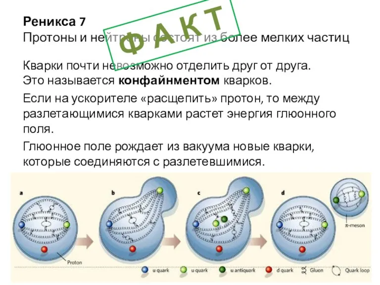 Реникса 7 Протоны и нейтроны состоят из более мелких частиц Кварки почти