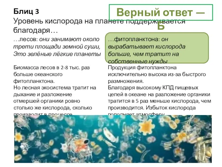 Блиц 3 Уровень кислорода на планете поддерживается благодаря… …лесов: они занимают около