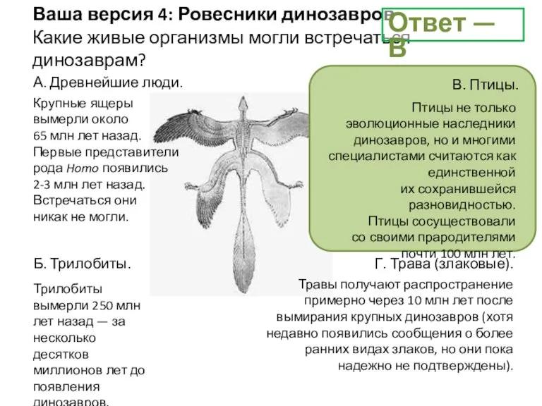 Трилобиты вымерли 250 млн лет назад — за несколько десятков миллионов лет