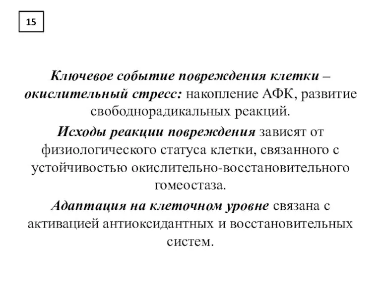 15 Ключевое событие повреждения клетки – окислительный стресс: накопление АФК, развитие свободнорадикальных