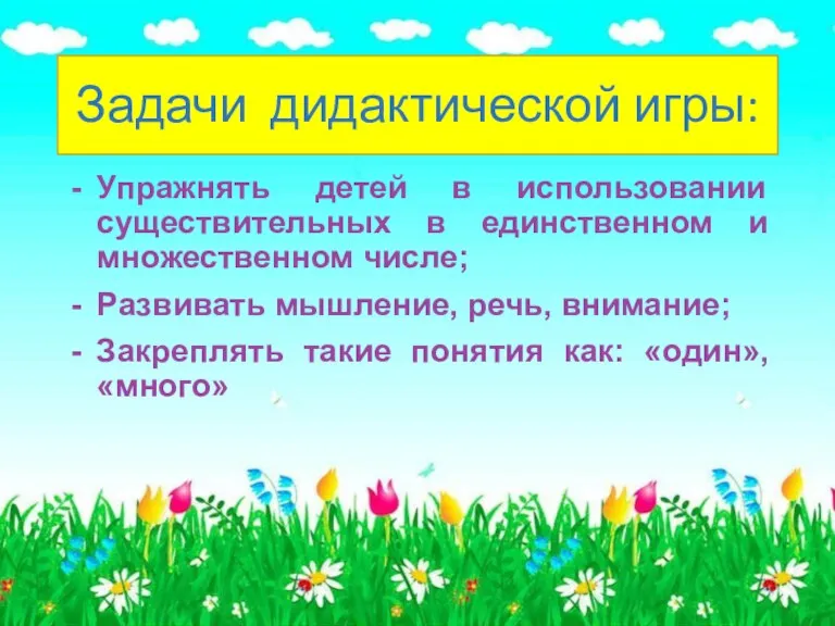 Задачи дидактической игры: Упражнять детей в использовании существительных в единственном и множественном