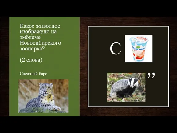 Какое животное изображено на эмблеме Новосибирского зоопарка? (2 слова) С ,, Снежный барс