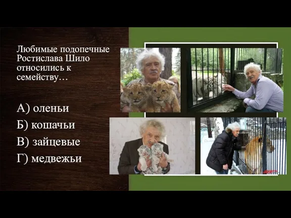 Любимые подопечные Ростислава Шило относились к семейству… А) оленьи Б) кошачьи В) зайцевые Г) медвежьи
