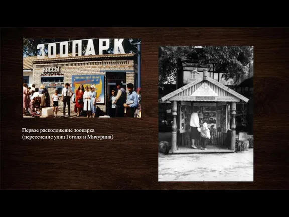 Первое расположение зоопарка (пересечение улиц Гоголя и Мичурина)