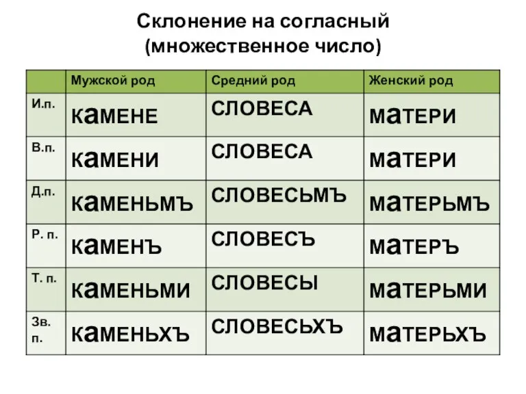 Склонение на согласный (множественное число)