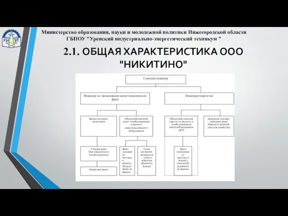 2.1. ОБЩАЯ ХАРАКТЕРИСТИКА ООО "НИКИТИНО" Министерство образования, науки и молодежной политики Нижегородской