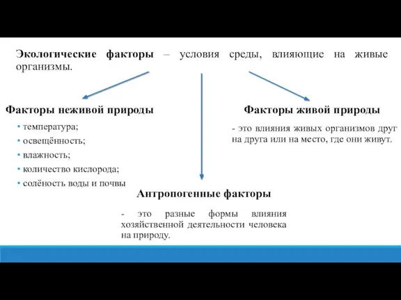 Экологические факторы – условия среды, влияющие на живые организмы. Факторы неживой природы