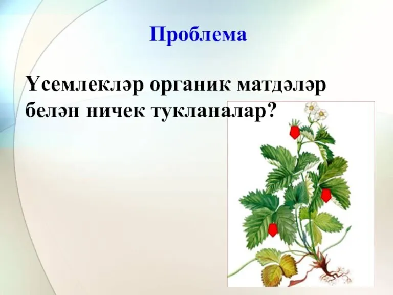 Проблема Үсемлекләр органик матдәләр белән ничек тукланалар?