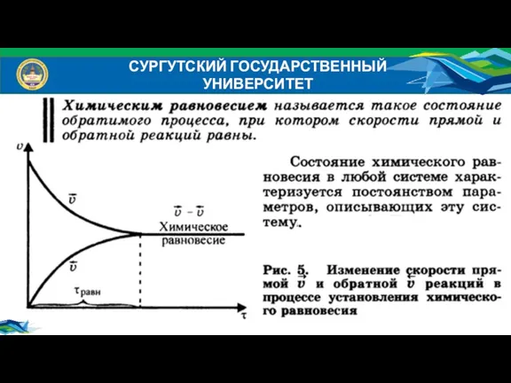 СУРГУТСКИЙ ГОСУДАРСТВЕННЫЙ УНИВЕРСИТЕТ