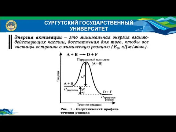 СУРГУТСКИЙ ГОСУДАРСТВЕННЫЙ УНИВЕРСИТЕТ