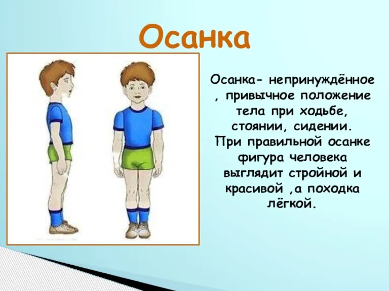 Осанка Осанка- непринуждённое , привычное положение тела при ходьбе, стоянии, сидении. При