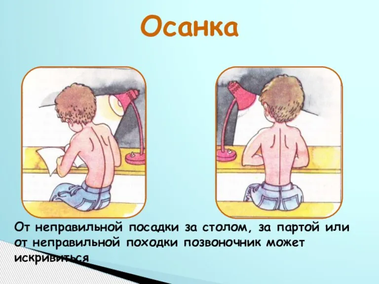 Осанка От неправильной посадки за столом, за партой или от неправильной походки позвоночник может искривиться