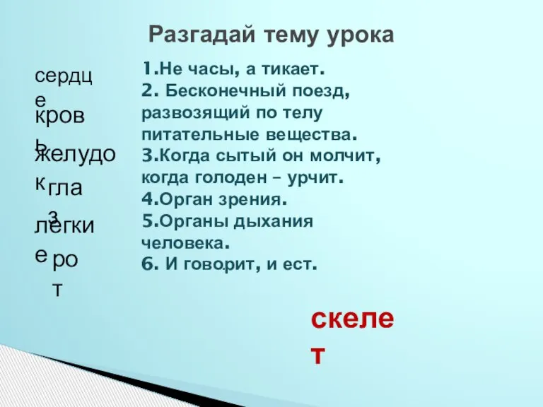 . 1.Не часы, а тикает. 2. Бесконечный поезд, развозящий по телу питательные