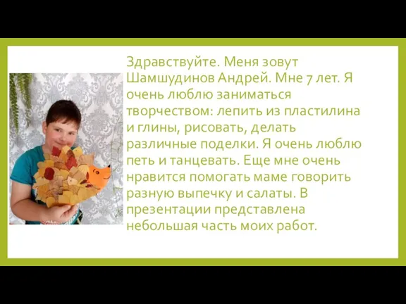 Здравствуйте. Меня зовут Шамшудинов Андрей. Мне 7 лет. Я очень люблю заниматься