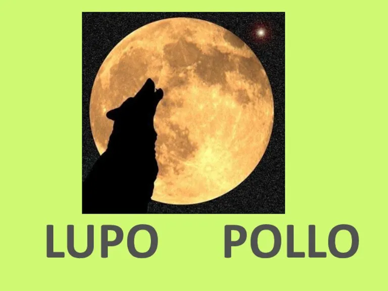 LUPO POLLO