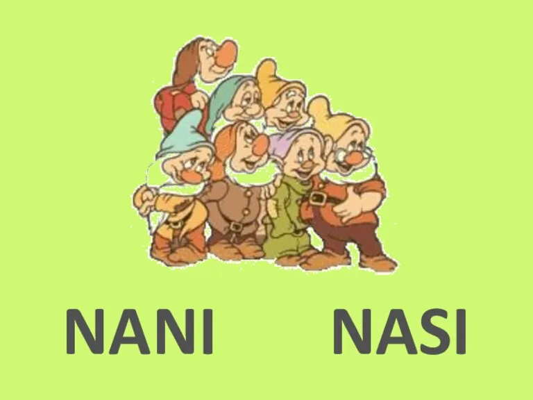 NANI NASI