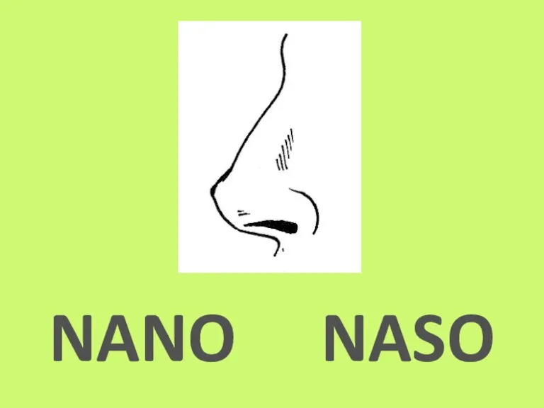 NANO NASO