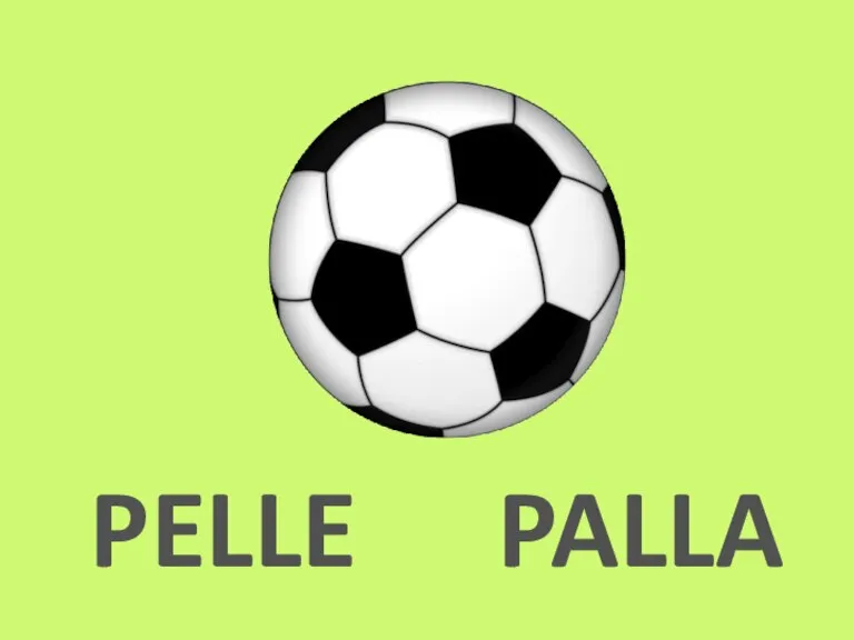 PELLE PALLA