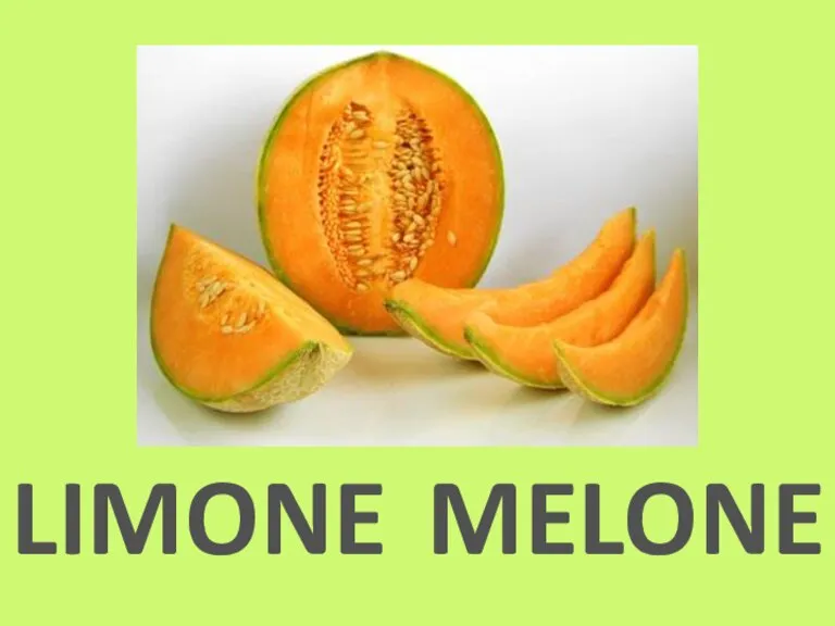 LIMONE MELONE