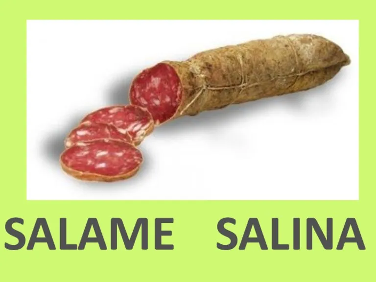 SALAME SALINA