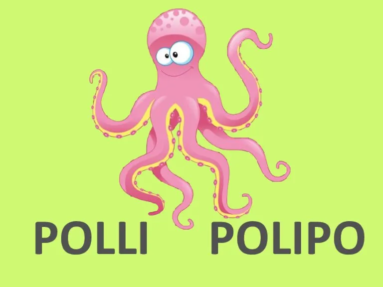 POLLI POLIPO