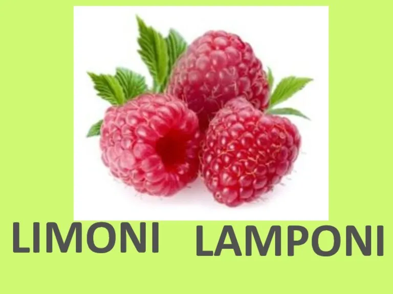 LIMONI LAMPONI