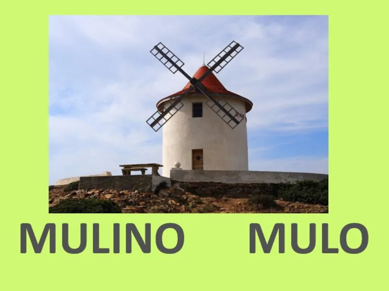 MULINO MULO